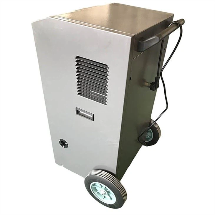 Portable Whole House Dehumidifier